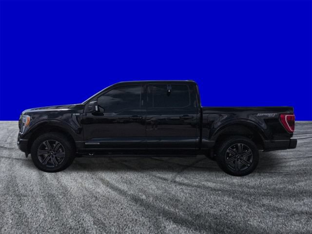 Certified 2023 Ford F150 XLT w/ Equipment Group 302A High AWD/4WD image 7