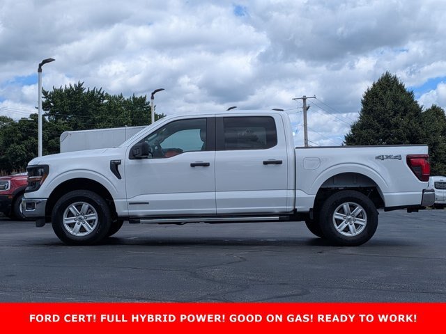 Certified 2025 Ford F150 XL w/ Equipment Group 104A Hybrid AWD/4WD image 8