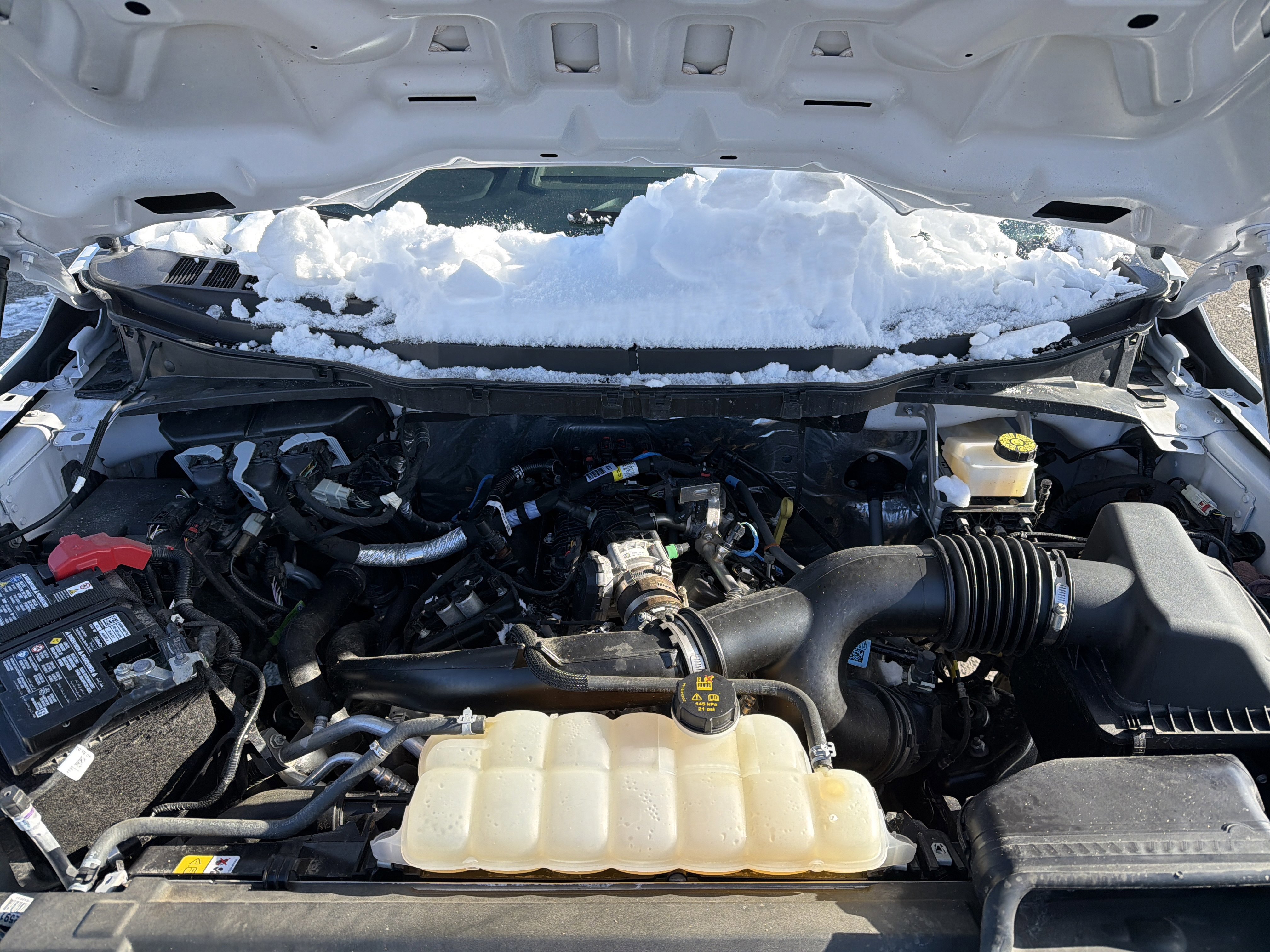 Certified 2024 Ford F150 STX w/ Equipment Group 201A FX4 image 10