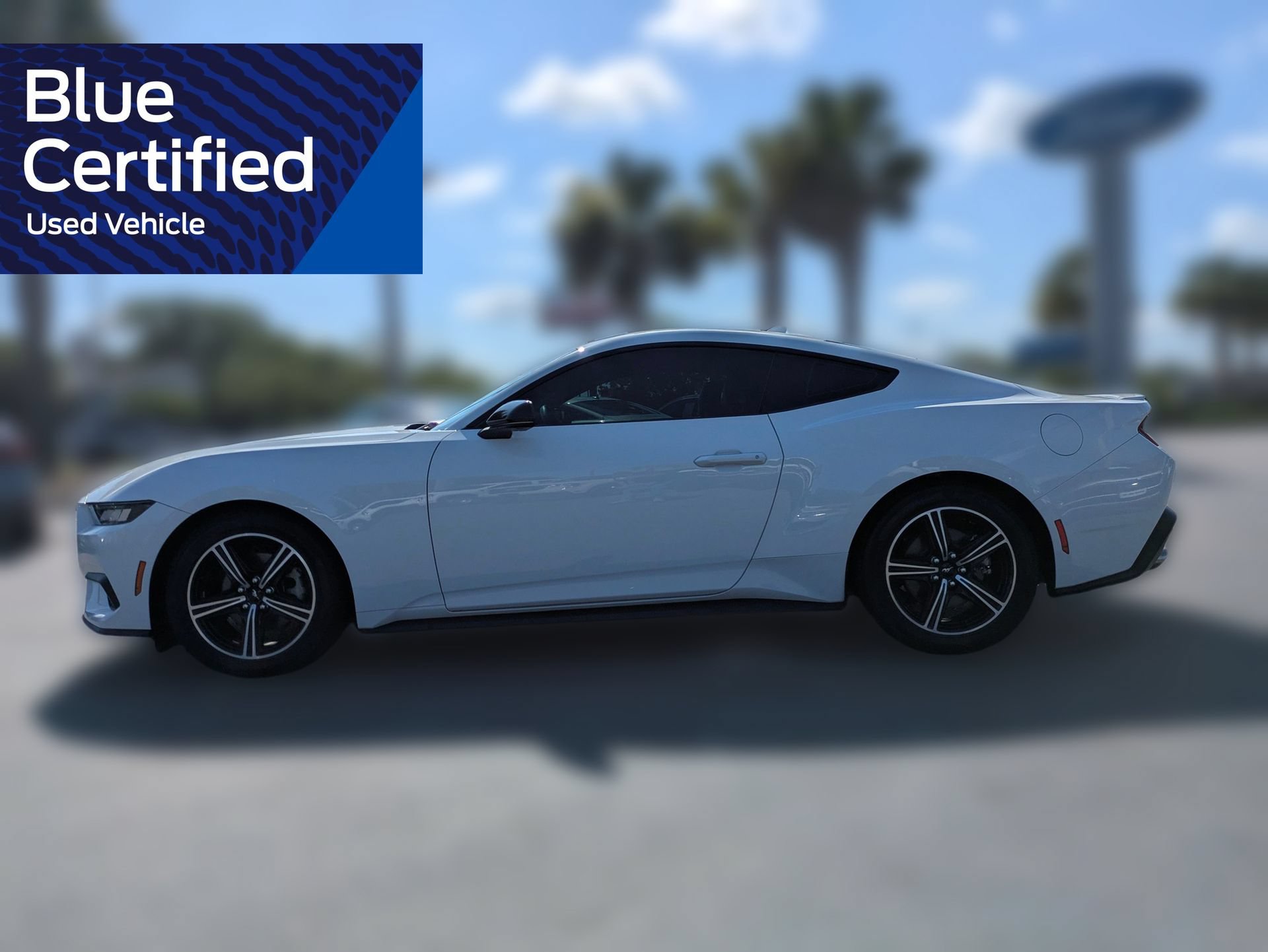 Certified 2024 Ford Mustang Premium RWD image 9