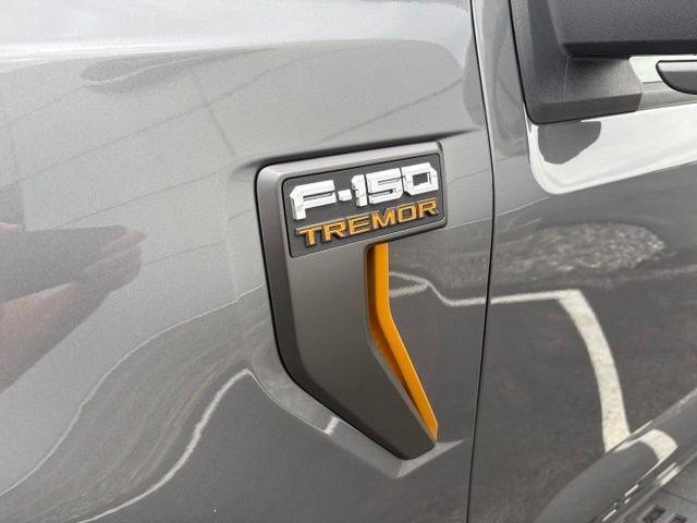 Certified 2025 Ford F150 Tremor w/ Equipment Group 402A High AWD/4WD image 13