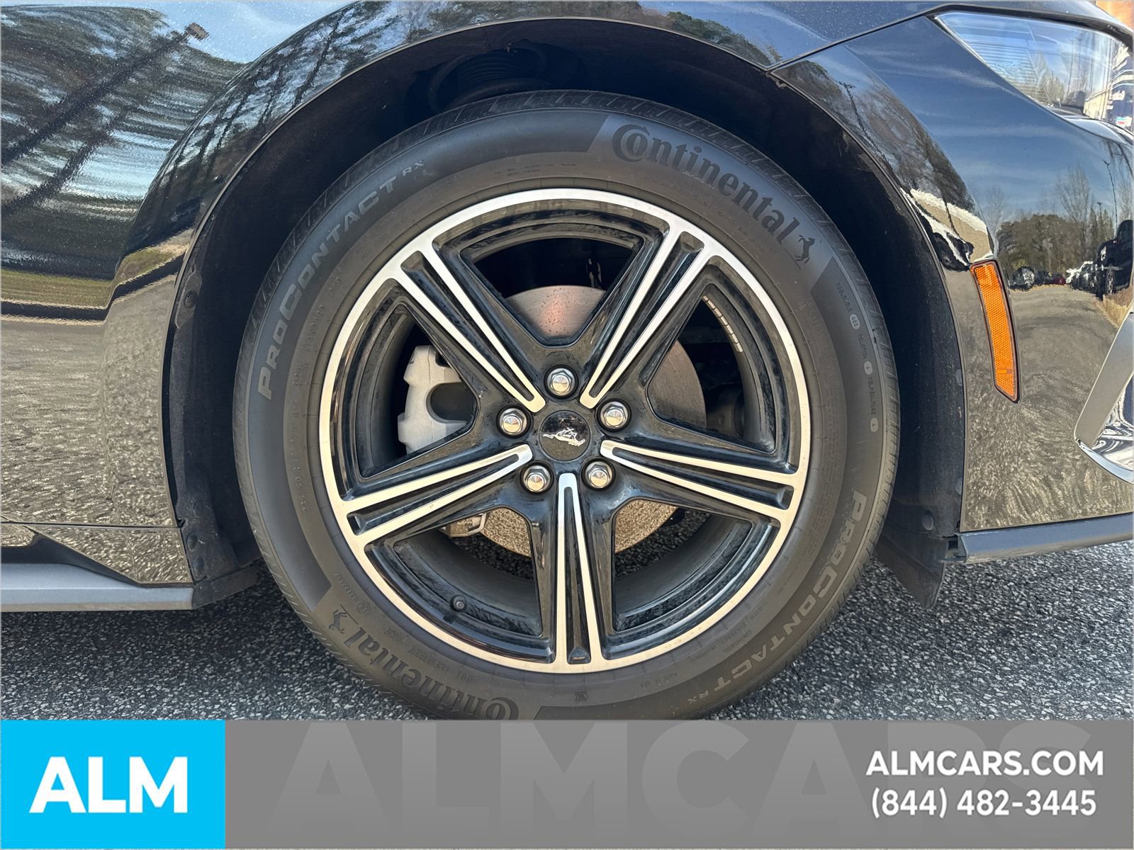 Certified 2025 Ford Mustang Premium image 14