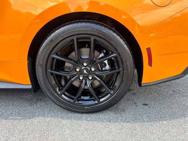 Certified 2026 Ford Mustang Coupe w/ Mustang Nite Pony Package RWD image 12