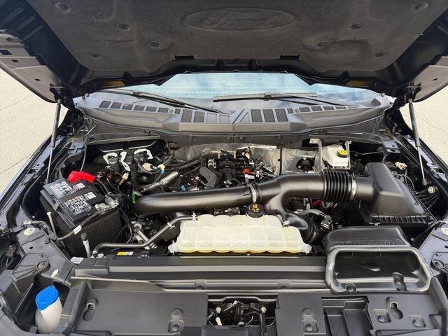 Certified 2025 Ford F150 XLT w/ Equipment Group 302A MID AWD/4WD image 24