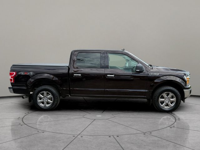 Certified 2019 Ford F150 XLT w/ Equipment Group 302A Luxury AWD/4WD image 12