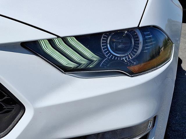 Certified 2023 Ford Mustang Premium image 11