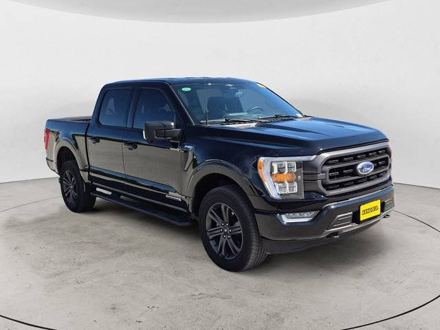 Certified 2023 Ford F150 XLT w/ Equipment Group 302A High AWD/4WD image 3