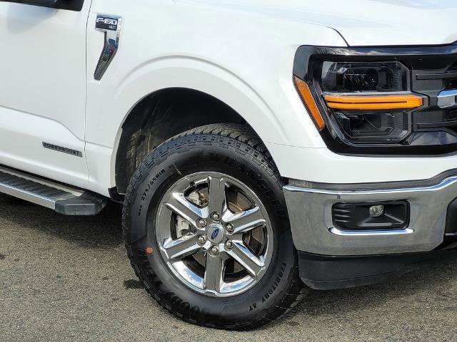 Certified 2025 Ford F150 XLT w/ Equipment Group 301A Standard image 8