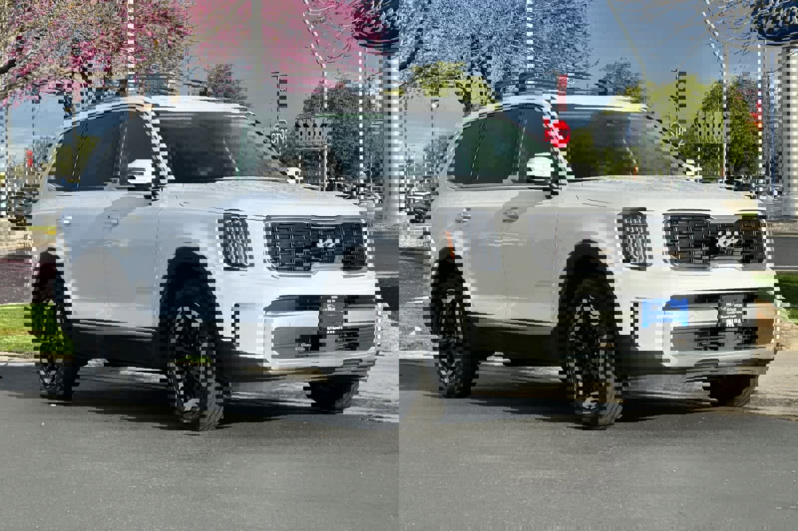 Used 2025 Kia Telluride S image 7