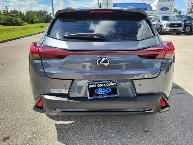 Used 2024 Lexus UX 250h F Sport FWD image 5