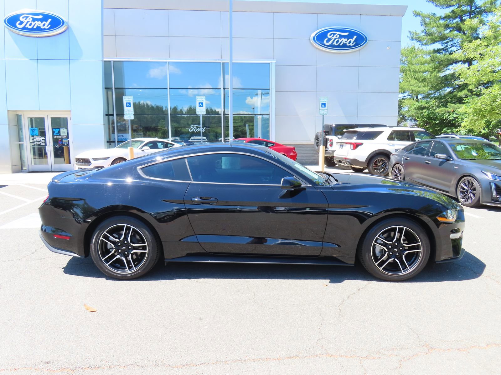Certified 2023 Ford Mustang Premium w/ Security Package RWD image 4