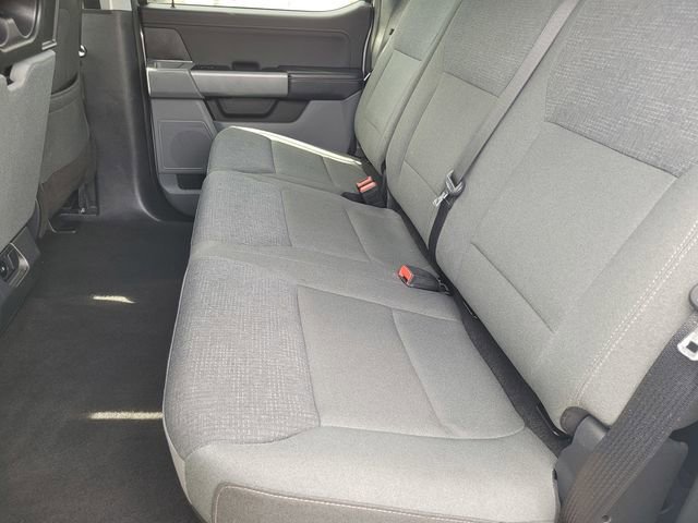 Certified 2025 Ford F150 XLT w/ Equipment Group 301A Standard image 13