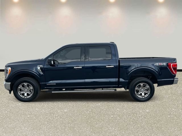 Certified 2023 Ford F150 XLT w/ Equipment Group 302A High image 8