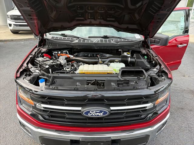 Certified 2025 Ford F150 XLT w/ Equipment Group 301A Standard AWD/4WD image 25