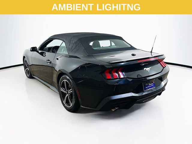 Certified 2024 Ford Mustang Premium image 4