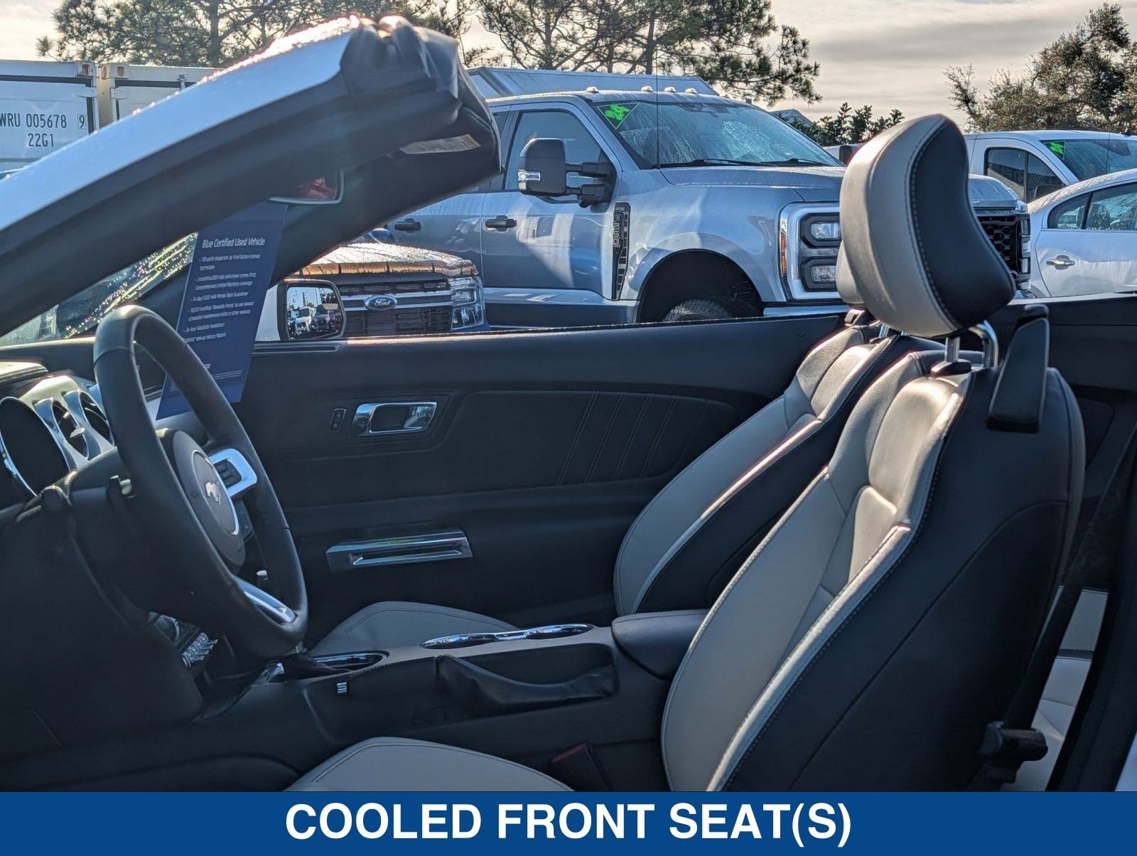 Certified 2017 Ford Mustang GT Premium image 17