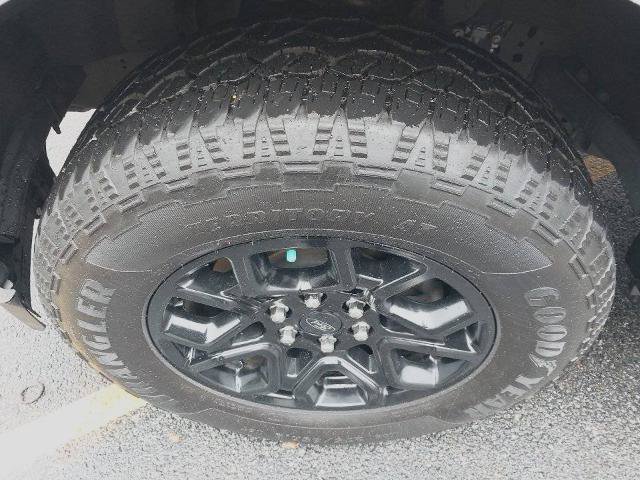 Certified 2024 Ford F150 XLT w/ XLT Black Appearance Package AWD/4WD image 14