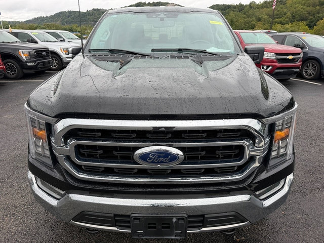 Certified 2023 Ford F150 XLT w/ Equipment Group 302A High AWD/4WD image 11