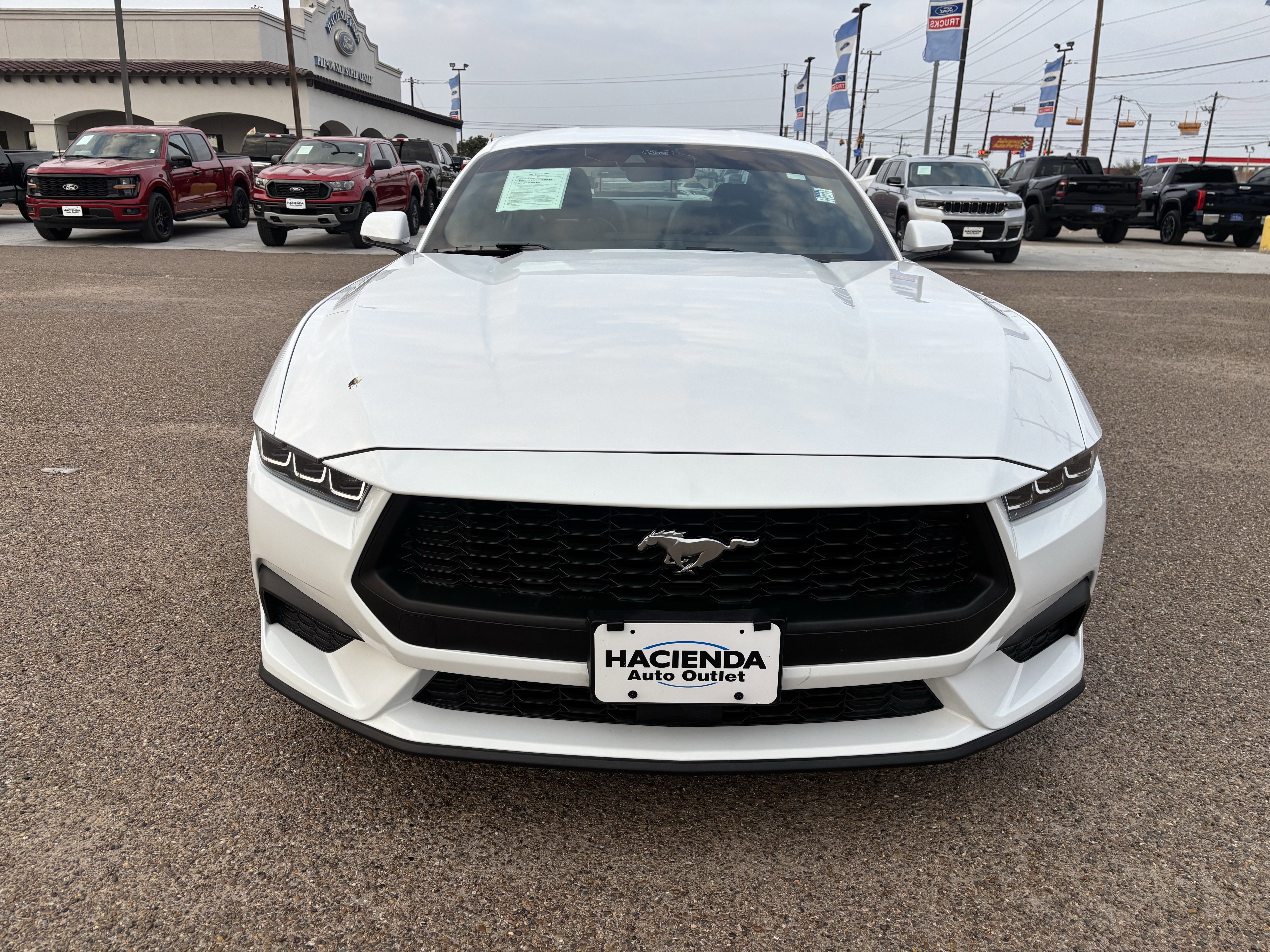 Certified 2024 Ford Mustang Premium image 7