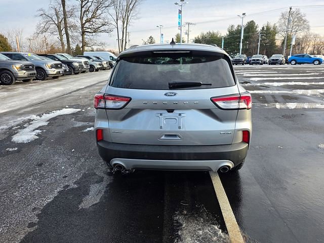 Certified 2022 Ford Escape SEL image 4