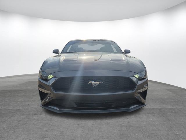 Certified 2019 Ford Mustang Coupe image 2