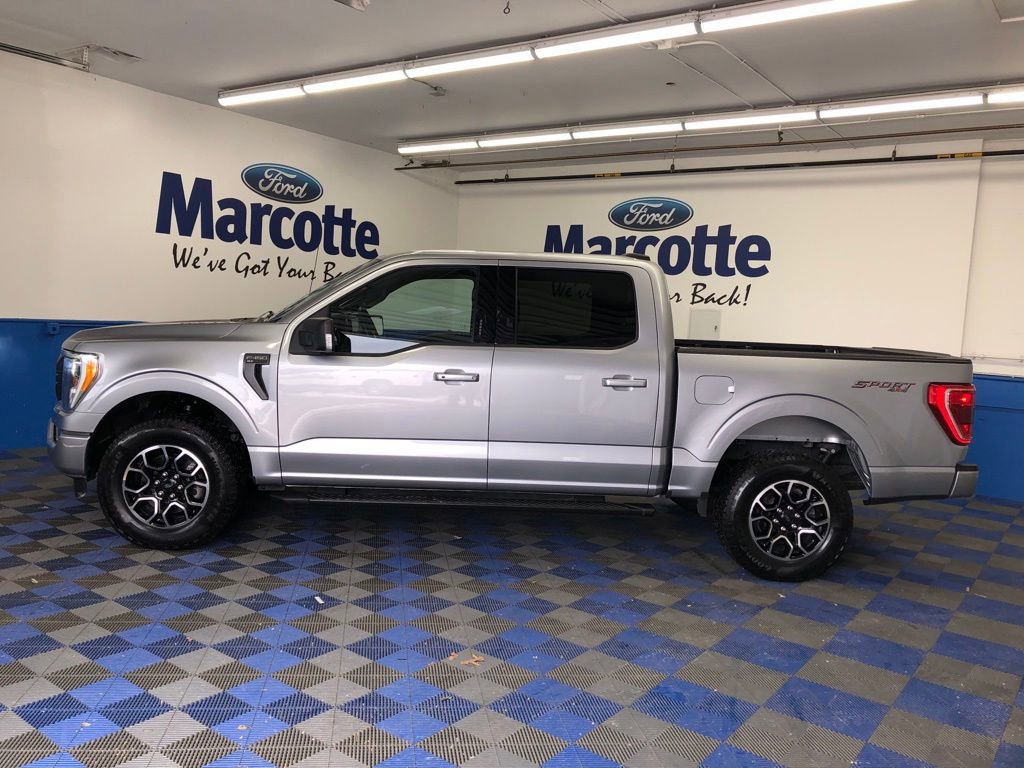 Certified 2023 Ford F150 XLT w/ Equipment Group 302A High image 3