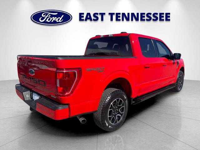 Certified 2023 Ford F150 XLT w/ Equipment Group 302A High image 5