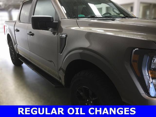 Certified 2023 Ford F150 XL w/ Rattler Package image 5