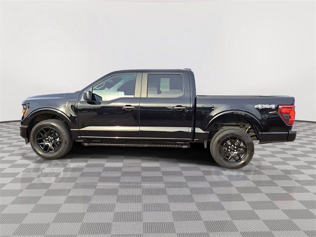 Certified 2024 Ford F150 STX w/ STX Black Appearance Package image 4