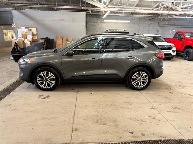 Certified 2022 Ford Escape SEL image 2