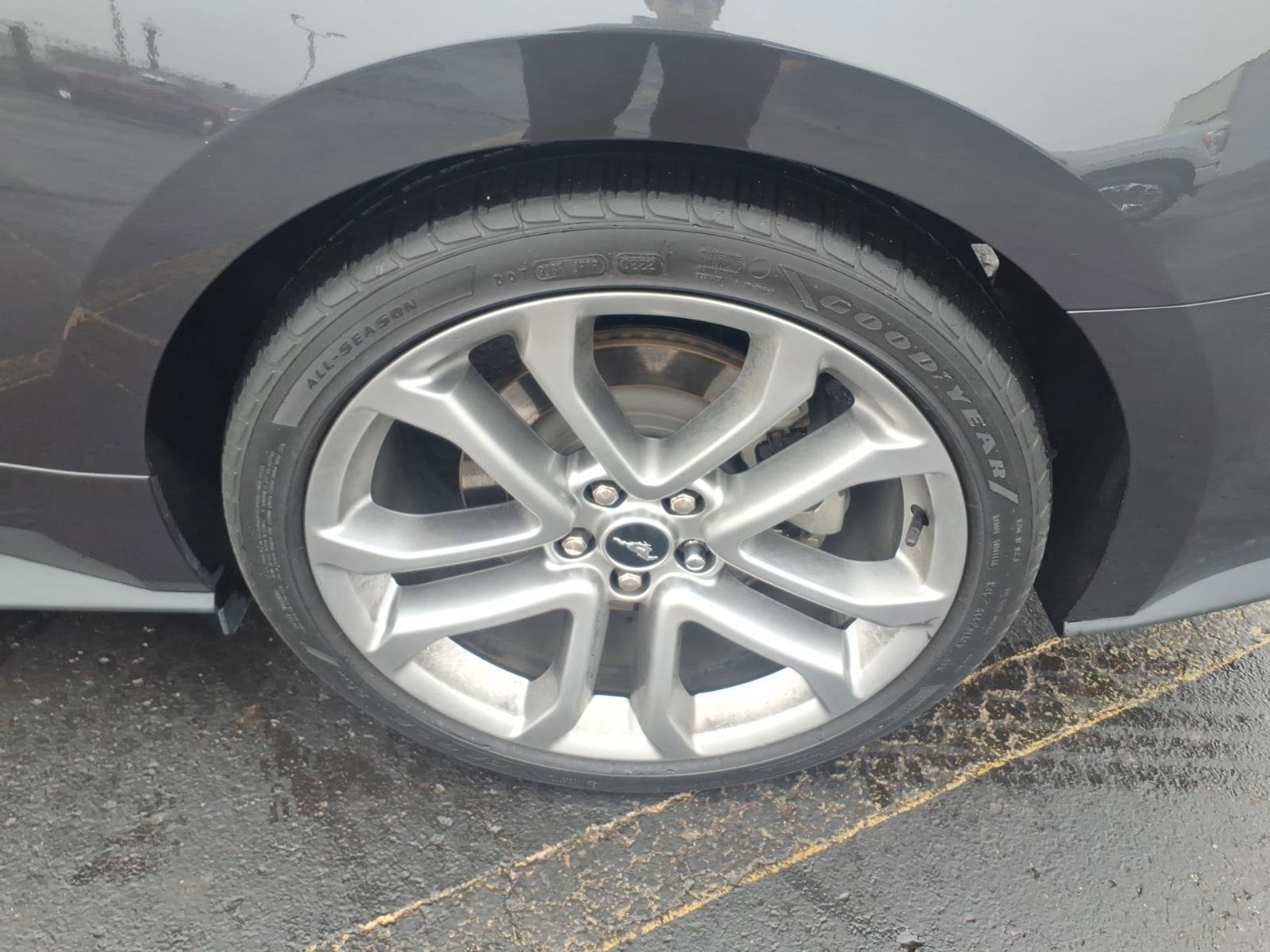 Certified 2022 Ford Mustang GT Premium w/ Equipment Group 401A image 8