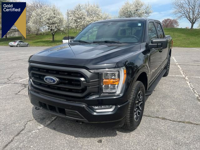 Certified 2023 Ford F150 XLT w/ Equipment Group 302A High