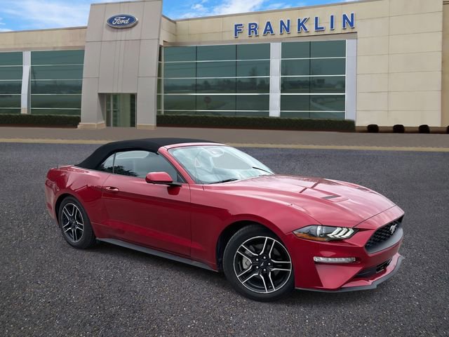 Certified 2022 Ford Mustang EcoBoost w/ Equipment Group 101A image 7