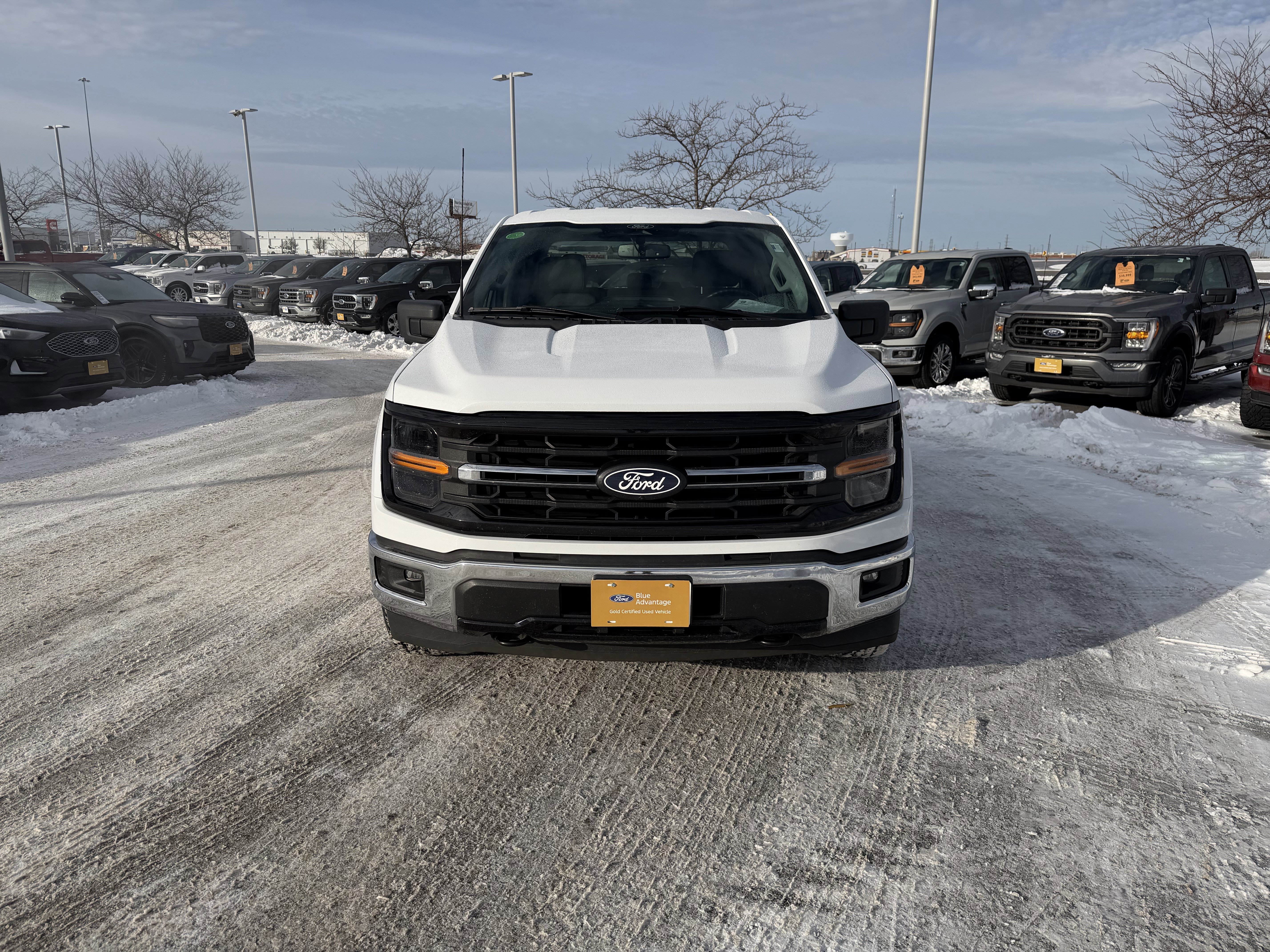 Certified 2024 Ford F150 XLT w/ Mobile Office Package image 2