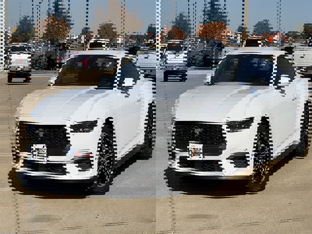 Certified 2025 Ford Mustang Coupe image 2