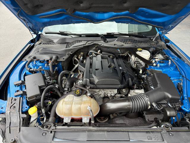 Certified 2019 Ford Mustang Premium RWD image 4