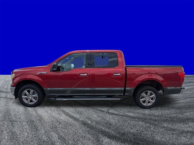 Certified 2019 Ford F150 XLT w/ Equipment Group 302A Luxury RWD image 7