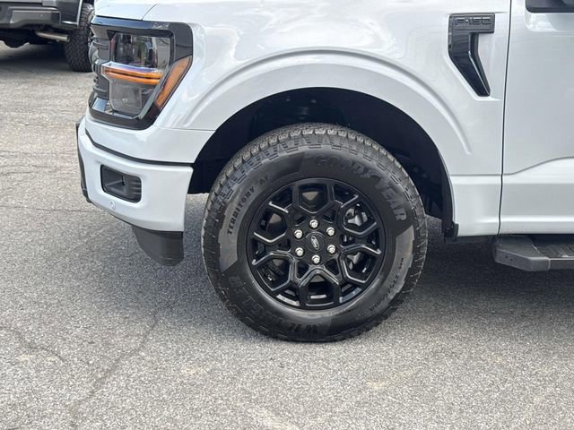 Certified 2025 Ford F150 XLT w/ Equipment Group 302A MID image 9