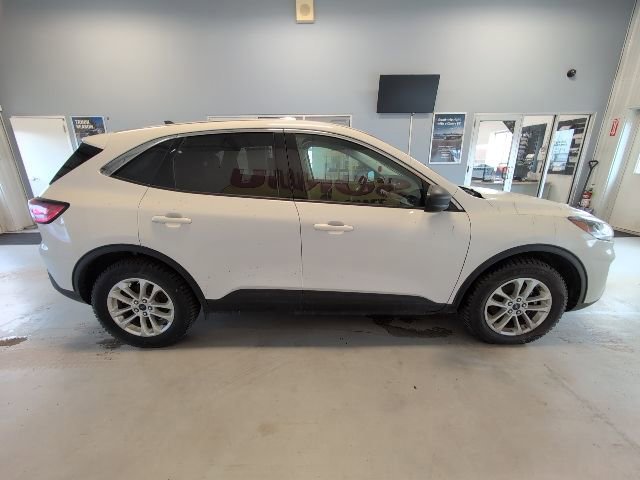 Certified 2022 Ford Escape SE w/ Convenience Package image 6