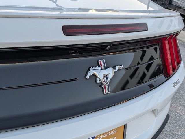 Certified 2021 Ford Mustang Premium w/ Equipment Group 201A image 12