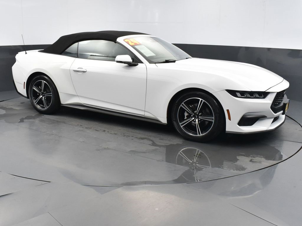 Certified 2024 Ford Mustang Premium image 3