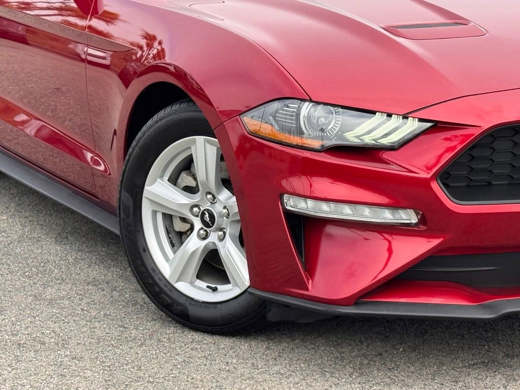 Certified 2019 Ford Mustang Coupe RWD image 4