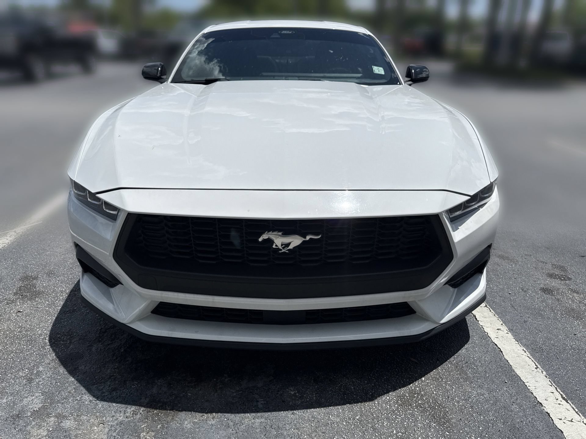 Certified 2024 Ford Mustang Premium RWD image 10