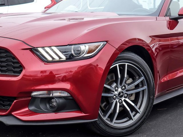 Certified 2017 Ford Mustang EcoBoost image 10
