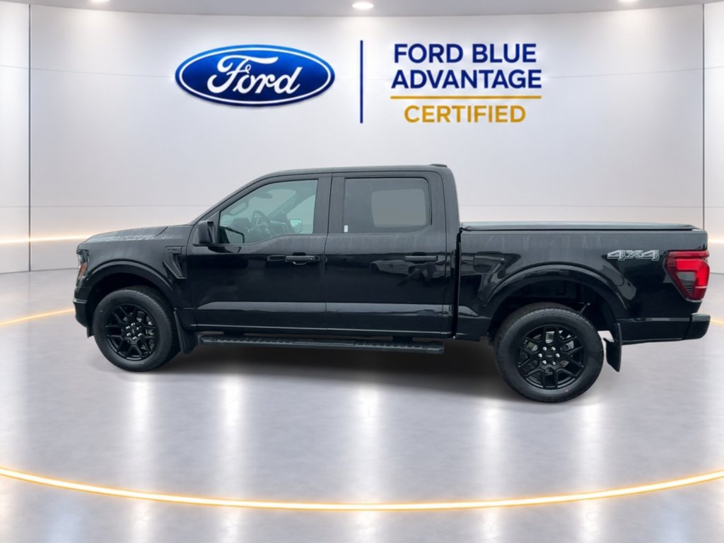 Certified 2024 Ford F150 STX w/ STX Black Appearance Package AWD/4WD image 8