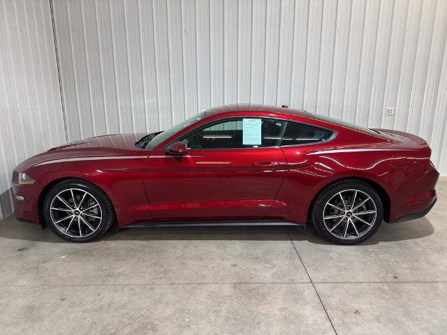 Certified 2018 Ford Mustang ECOBOOST w/ Equipment Group 101A image 5