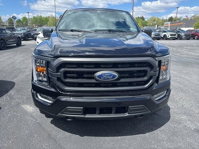 Certified 2023 Ford F150 XLT w/ Equipment Group 302A High image 2