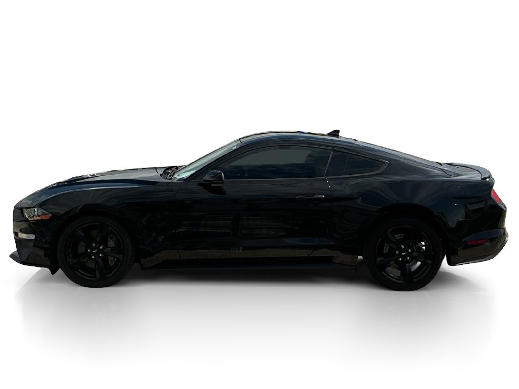 Certified 2023 Ford Mustang GT Premium w/ Equipment Group 401A RWD image 5