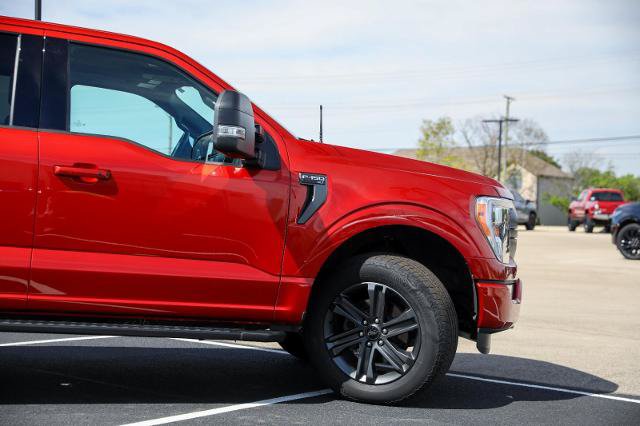 Certified 2023 Ford F150 XLT w/ Equipment Group 302A High AWD/4WD image 6