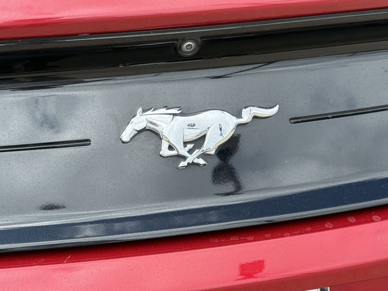 Certified 2022 Ford Mustang Coupe w/ Equipment Group 101A RWD image 7